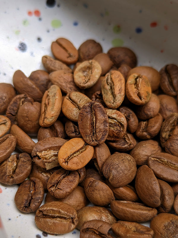 SHILLONG SPICE RUSH - NATURALS