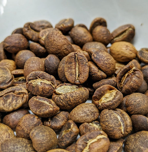 WHISKEY Barrel (No. 9) Aged Coffee - Kalathgiri Estate - Intense Aromatics