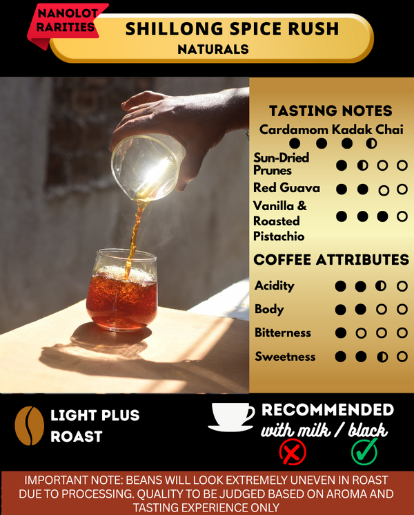 SHILLONG SPICE RUSH - NATURALS