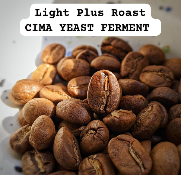 RADIANCE : CIMA Yeast Ferment - Kalyancool Estate