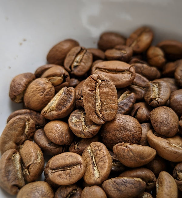 CT ESTATE Golden Jaggery - Red Honey Process