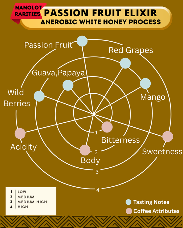 PASSION FRUIT ELIXIR - Co-Ferment - Kalyancool Estate (In-House)