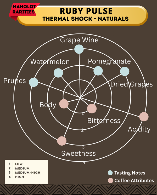 THERMAL SHOCK -  Ruby Pulse - Kalyancool Estate (In-House)