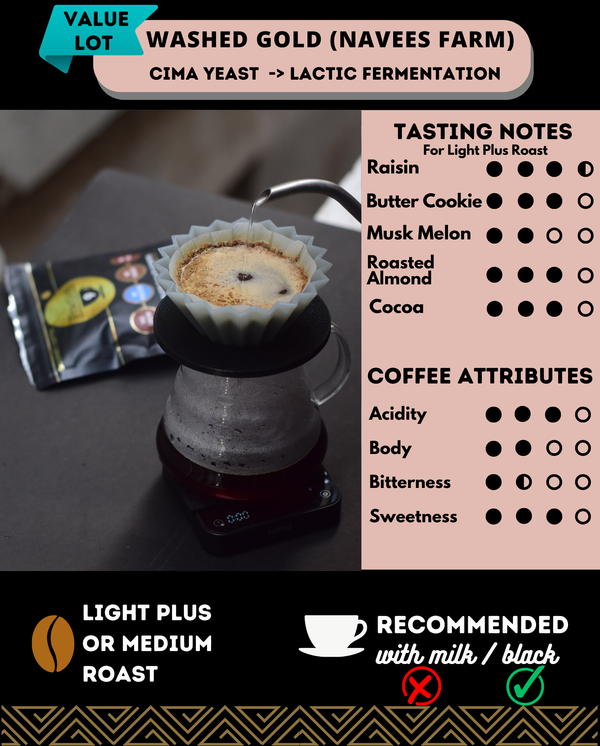 WASHED GOLD - LACTIC FERMENT - Value | Auto Discounted | No Codes