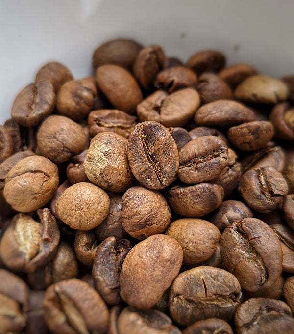 RATNAGIRI Crimson Cranberry Burst - Value | Auto Discounted | No Codes