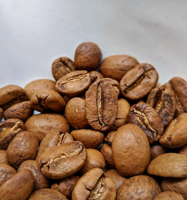 Ratnagiri – JASMINE ROYALE - Co-Ferment  | Auto Discounted | No Codes
