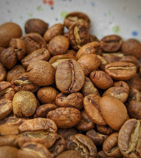 RATNAGIRI VISTA RTP3 - Value | Auto Discounted | No Codes