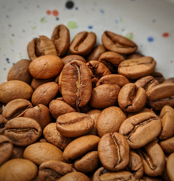 Udayagiri Alpine Selection