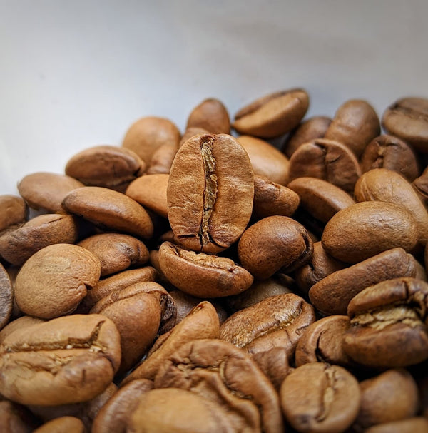 THERMAL SHOCK -  Ruby Pulse - Kalyancool Estate (In-House)